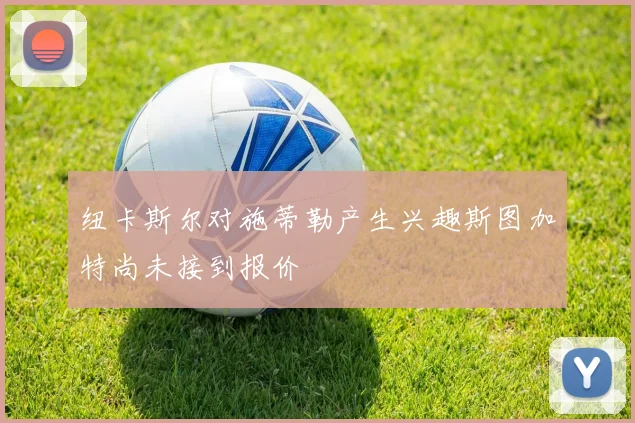 纽卡斯尔对施蒂勒产生兴趣斯图加特尚未接到报价